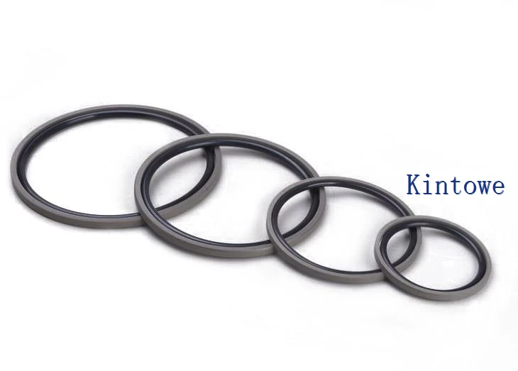 Hydraulic Piston Seals